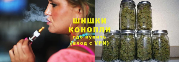 прущие грибы Медвежьегорск