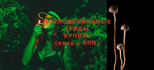 гидра Медногорск