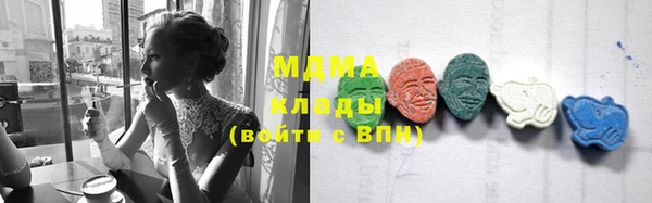 прущие грибы Медвежьегорск