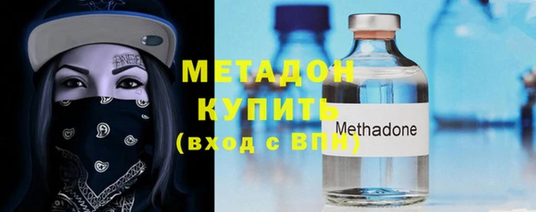 прущие грибы Медвежьегорск