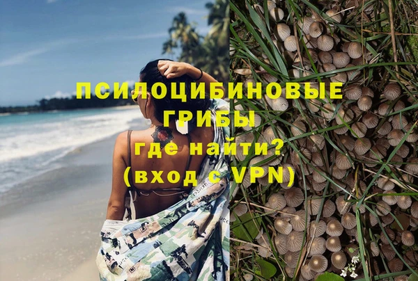 MDMA Premium VHQ Михайловка