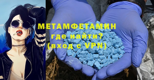 прущие грибы Медвежьегорск
