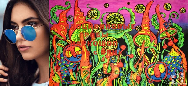 твердый Карпинск