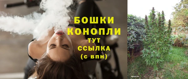 прущие грибы Медвежьегорск