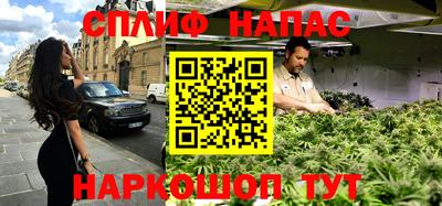 гашик Донецк