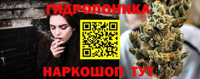 гашик Донецк