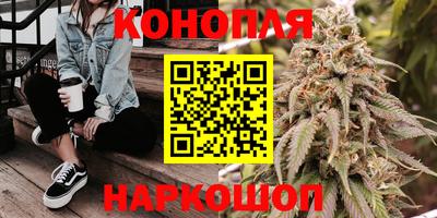 гашик Донецк