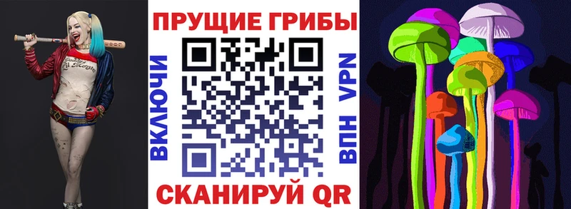 где купить наркоту Надым Псилоцибиновые грибы Magic Shrooms