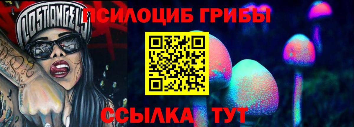 Галлюциногенные грибы Psilocybine cubensis Надым